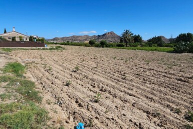 Terreno rústico en huerta de El Esparragal