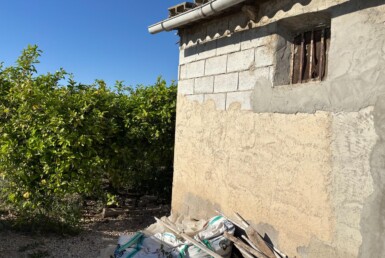 Se vende bonito huerto de limoneros entre al Cueva y el Esparragal.